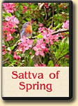 Sattva of Spring